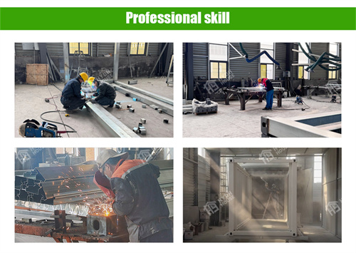 Custom Expanding Container House